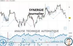 SYNERGIE - Journalier