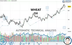 WHEAT - 1H