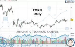 CORN - Daily