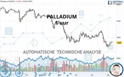 PALLADIUM - 1 uur