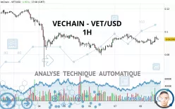 VECHAIN - VET/USD - 1H