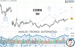 CORN - 1H