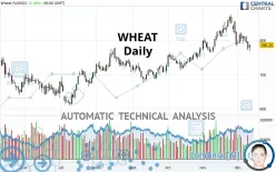 WHEAT - Diario