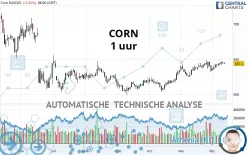 CORN - 1 uur