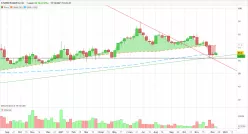 STURM RUGER &amp; CO. - Semanal