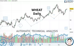 WHEAT - Diario