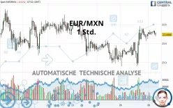 EUR/MXN - 1 Std.