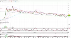 GLOBAL BIOENERGIES - Diario