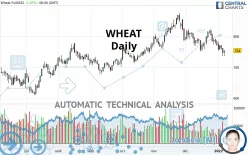 WHEAT - Diario