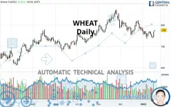 WHEAT - Diario