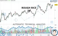 ROUGH RICE - 1H