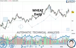 WHEAT - Diario