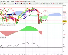 CAC MID &amp; SMALL - Daily