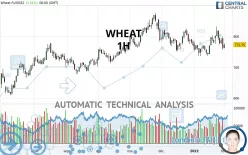 WHEAT - 1H