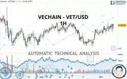 VECHAIN - VET/USD - 1H