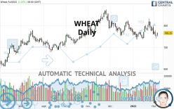 WHEAT - Diario