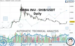 SHIBA INU - SHIB/USDT - Daily