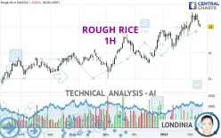 ROUGH RICE - 1H