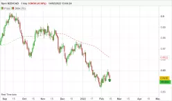 NZD/CAD - Dagelijks