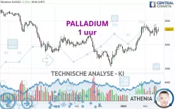 PALLADIUM - 1 uur