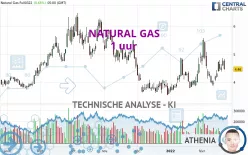 NATURAL GAS - 1 uur