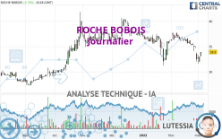 ROCHE BOBOIS - Journalier