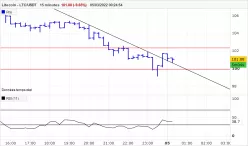 LITECOIN - LTC/USDT - 15 min.