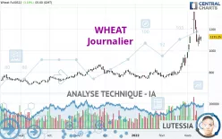 WHEAT - Journalier