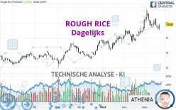 ROUGH RICE - Dagelijks