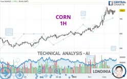 CORN - 1H