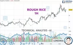 ROUGH RICE - 1H