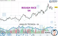 ROUGH RICE - 1H