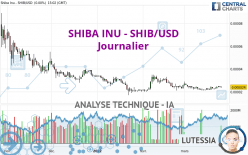 SHIBA INU - SHIB/USD - Journalier