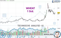 WHEAT - 1 Std.