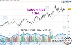 ROUGH RICE - 1 Std.