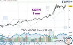 CORN - 1 uur