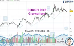 ROUGH RICE - Giornaliero