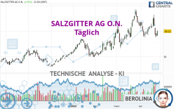 SALZGITTER AG O.N. - Täglich