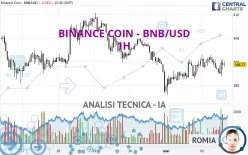 BINANCE COIN - BNB/USD - 1 Std.