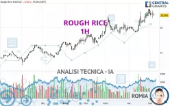 ROUGH RICE - 1H