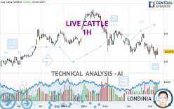 LIVE CATTLE - 1H