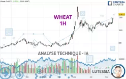 WHEAT - 1H