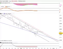 MICRO GOLD FULL0425 - Daily