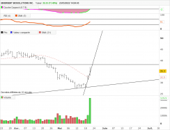 EMERGENT BIOSOLUTIONS INC. - Journalier