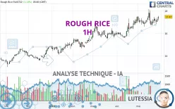 ROUGH RICE - 1H