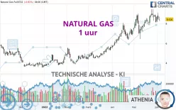 NATURAL GAS - 1 uur