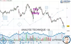 TF1 - Daily