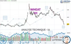 WHEAT - 1H