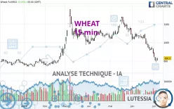 WHEAT - 15 min.