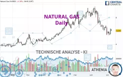 NATURAL GAS - Dagelijks